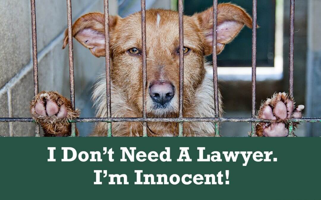 Do I Need A Lawyer If I’m Innocent?