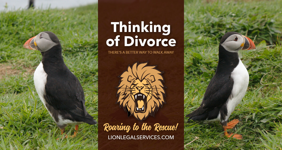 Image of two puffins, back to back. Caption "Thinking of Divorce: There's a better way to walk away.