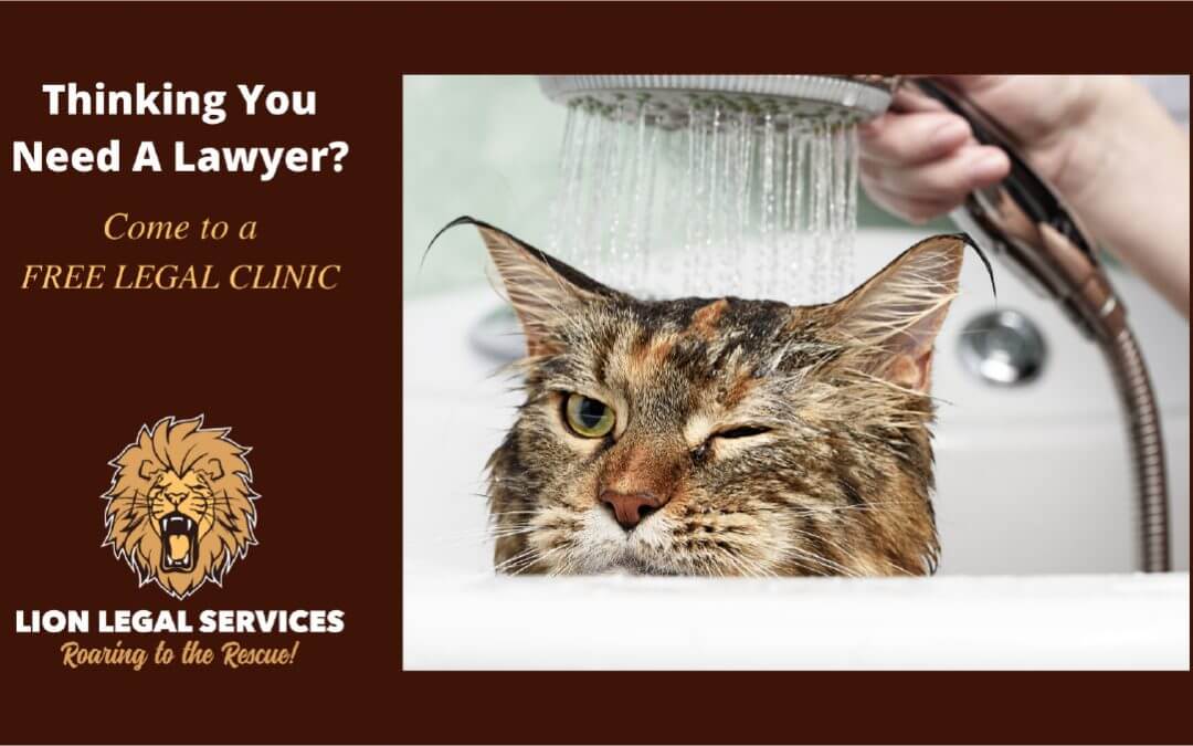 Thinking You Need A Lawyer?