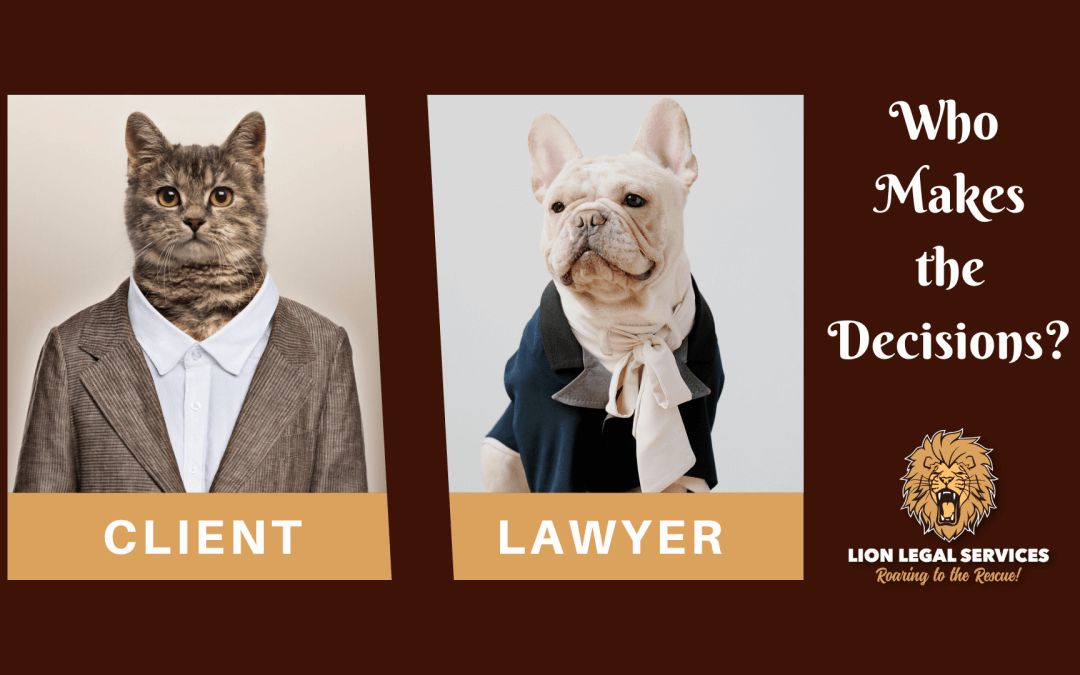 Client Decisions vs Lawyer Decisions
