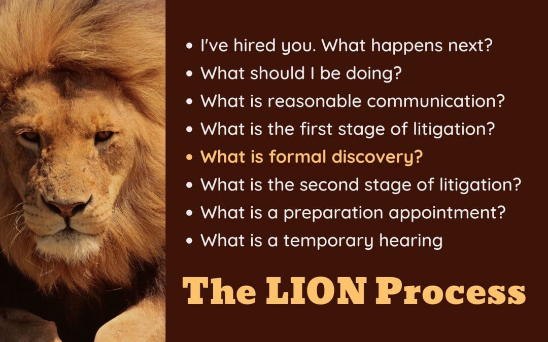 Lion Process slide 5