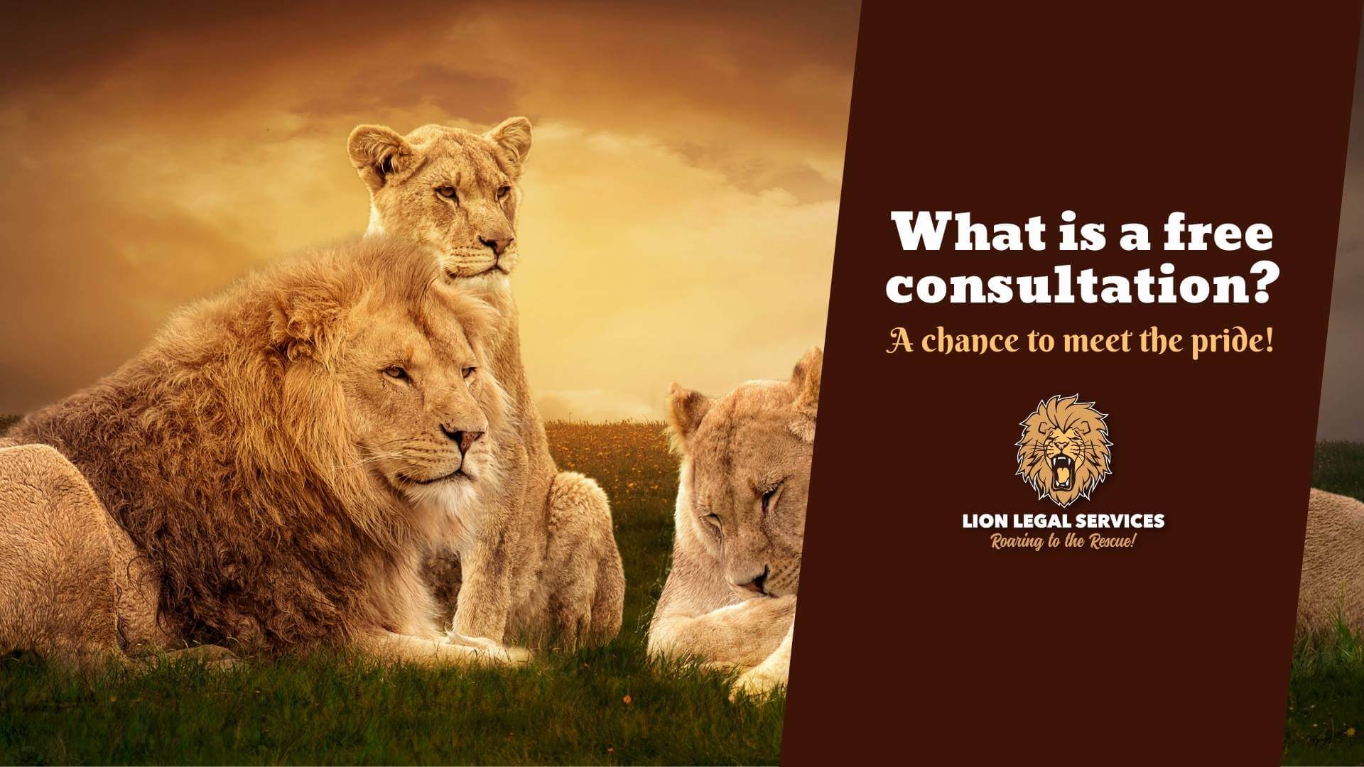 Photo of a pride of lions with caption "What is a free consultation?"