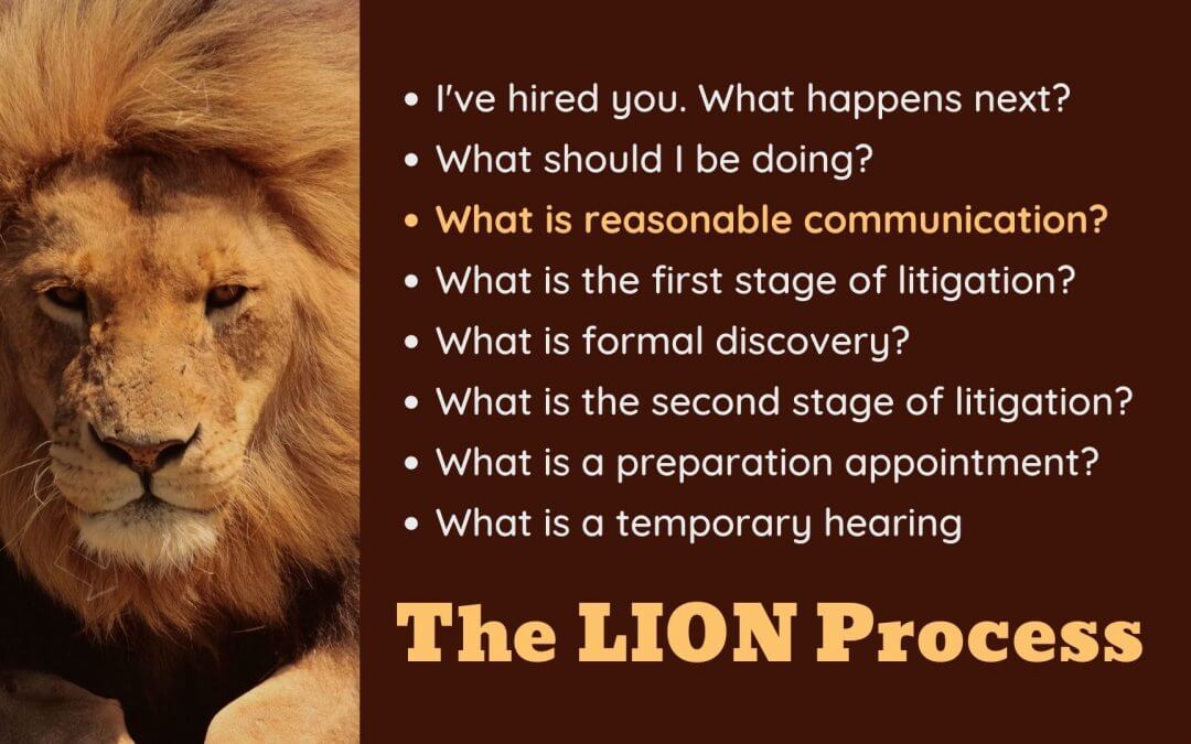Lion Process slide 3