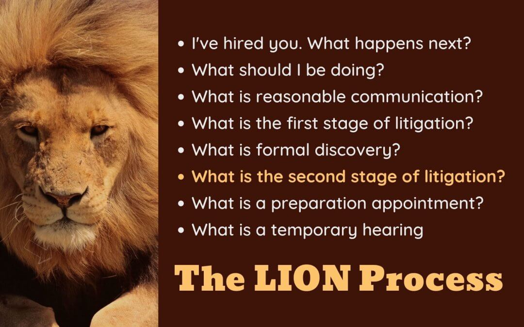 Lion Process slide 6