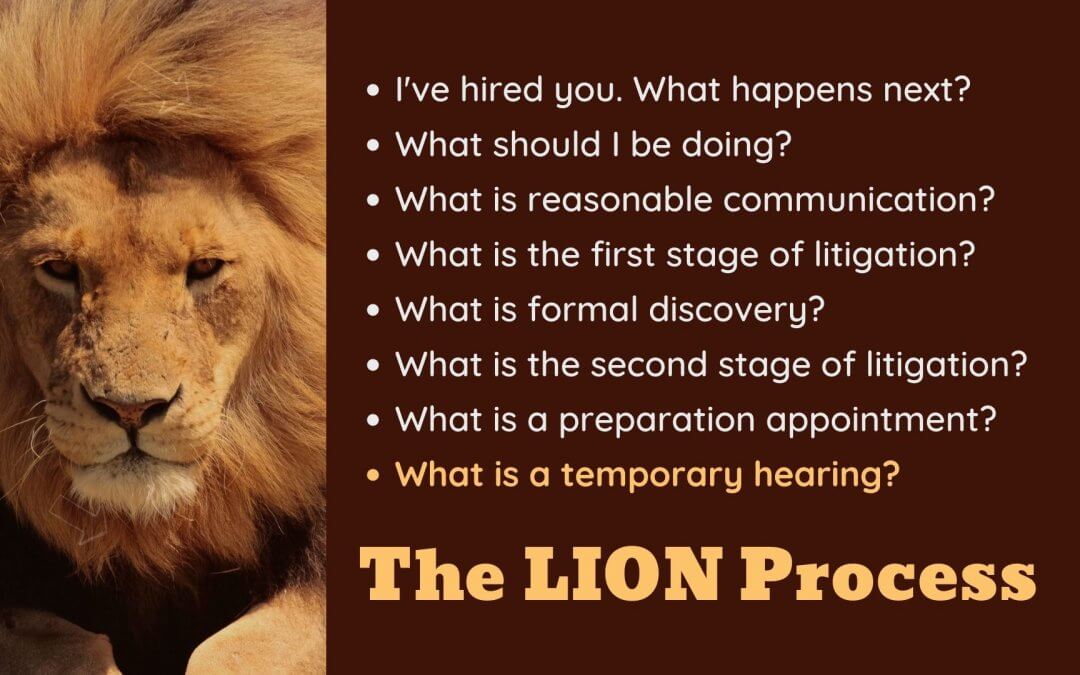 Lion Process slide 8