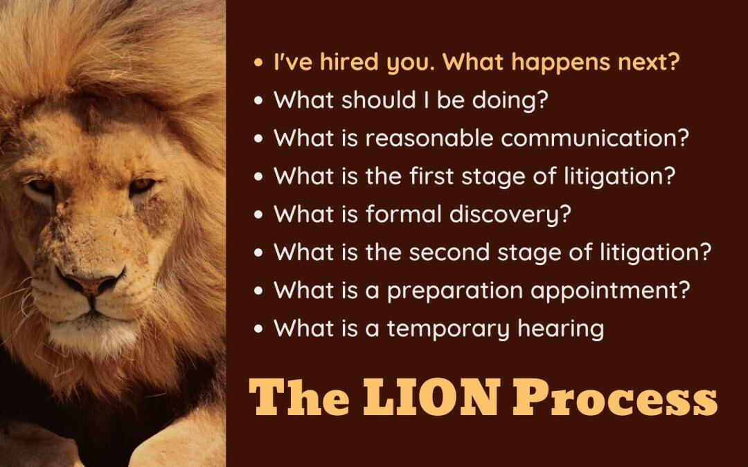 Lion Process slide 1